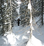 Photo of skier approaching Marshall Lake, Sawtooth Range, ID through dense forest