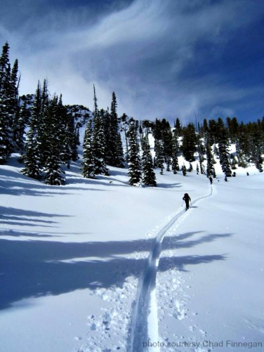 Skinning in the sawtooths
