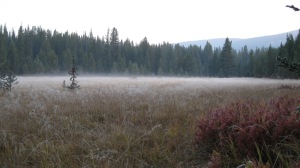 dawn in elk country