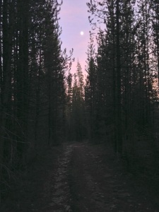 photo of trail and moon rising